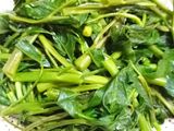 PLENCING KANGKUNG / PLENCING JAWA / BRAMBANG ASEM