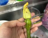 Hình bước làm 3 của món Trứng Gà Non Xào Bí Nụ
