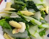 藍藍的-清炒小松菜的食譜步驟1照片