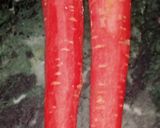 A picture of step 1 of Gajar ka halwa.
