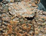 A picture of step 5 of Bajra ragi rotis.