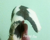 Foto langkah ke 11 dari resep Chiffon marmer cake.