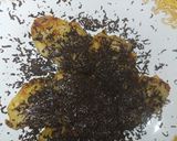 Foto langkah ke 4 dari resep Godok pisang coklat keju (mudah, enak dan lumer deh).