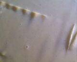 Foto del paso 10 de la receta Lasaña