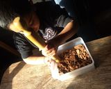 Foto del paso 1 de la receta: Trufas hechas por mi hijo