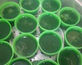 Foto langkah ke 3 dari resep Srikayo Pandan Palembang.