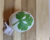 A picture of step 1 of ★Botanical egg★.