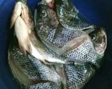Foto langkah ke 1 dari resep Ikan Bakar Nila.