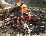 Foto del paso 2 de la receta: Cordero asado y lechón a la estaca