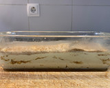 Foto del paso 6 de la receta: Tarta de canela