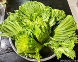 Hình bước làm 1 của món Dưa cải muối