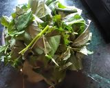 পাট পাতার ডাল(Pat patar Dal Recipe in Bengali) রেসিপির ধাপ 1 ছবি