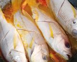 Foto langkah ke 3 dari resep Ikan kakap merah bumbu simpel.