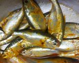 A picture of step 1 of 5 min Crispy Fried Khoira Fish.