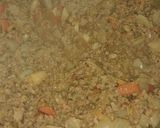 Foto del paso 2 de la receta: Zapallito rellenos