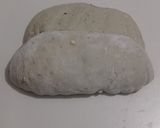 Foto langkah ke 11 dari resep Moringa Jinten Hitam Italian Herbs Cheese Sourdough Bread (Oven Tangkring).