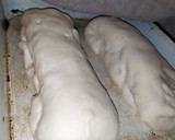 Foto del paso 4 de la receta: Pan casero relleno🥖