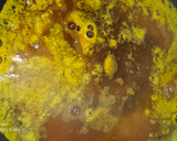 Foto del paso 4 de la receta: Lenguado en salsa de naranja