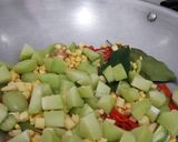 Foto langkah ke 2 dari resep Lodeh Resep Oma.