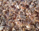 Foto del paso 6 de la receta: Empanada de solomillo adobado