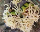 Foto del paso 5 de la receta: Calabacín con relleno de aprovechamiento