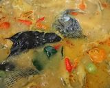 Foto langkah ke 3 dari resep Pindang Ikan Favorit.