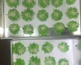 Foto langkah ke 4 dari resep Semprit garut pandan keju.