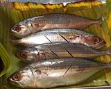Foto langkah ke 1 dari resep Tim Ikan Gambung Tanpa Minyak.