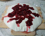Foto del paso 9 de la receta: Montblanc de mascarpone, soletillas y granada!