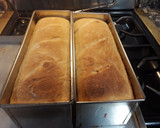 Foto del paso 3 de la receta: Pan de molde de masa madre