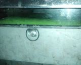 Foto langkah ke 7 dari resep Pandan Sponge Cake Lembut banget + anti seret.