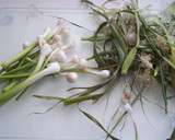 Foto del paso 2 de la receta: Sepia con ajos tiernos