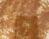 Foto del paso 2 de la receta: Bizcochitos de canela express