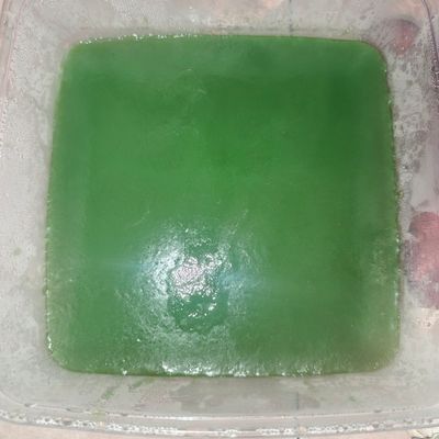 Langkah 5
