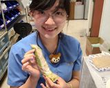 阿勝的越南春捲的食譜步驟4照片
