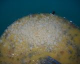 Foto del paso 4 de la receta: Tortilla de fideos