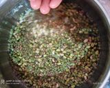 મસાલા સ્પ્રાઉટ્સ (Masala sprouts recipe in Gujarati) રેસીપી સ્ટેપ1ફોટો