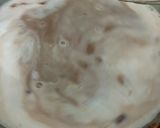 बिस्कुट क्रीम कोको रोल (Biscuit creamy cocoa roll recipe in Hindi) रेसिपी चरण 1 फोटो