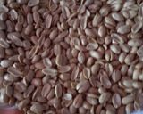 Foto langkah ke 3 dari resep Kacang asin ide buat jualan ibu pintar 👩.