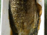 Gurami bakar pedas manis teflon