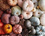 Une image de l'étape 9 de Couscous 🥩gastronomie oranaise🥕🧅🥔🥬.