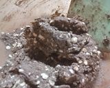 Foto del paso 2 de la receta: Galletitas de miel y chocolate
