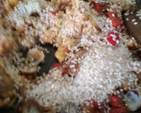 Foto del paso 13 de la receta: Paella de cigalas y rape