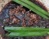 Foto langkah ke 6 dari resep Cendol Kecebong.