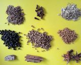 Foto langkah ke 1 dari resep Garam Masala.