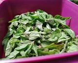 Foto del paso 1 de la receta: Albahaca deshidratada