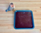 Foto del passaggio 3 della ricetta Mizu Yokan - Gelatina di Anko la confettura di Azuki, i fagioli giapponesi