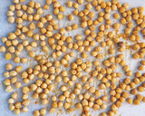 Foto del paso 1 de la receta: Snack crujiente de garbanzos