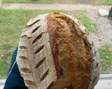 A picture of step 7 of Sourdough Boule.