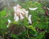 Hình bước làm 2 của món Canh rau dền nấu cá cơm